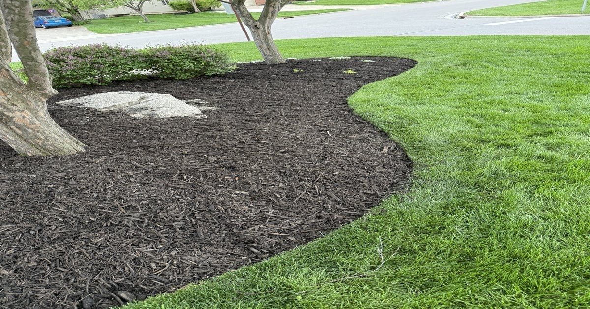Sharp cut edge between a fresh dark mulch bed and a healthy green lawn